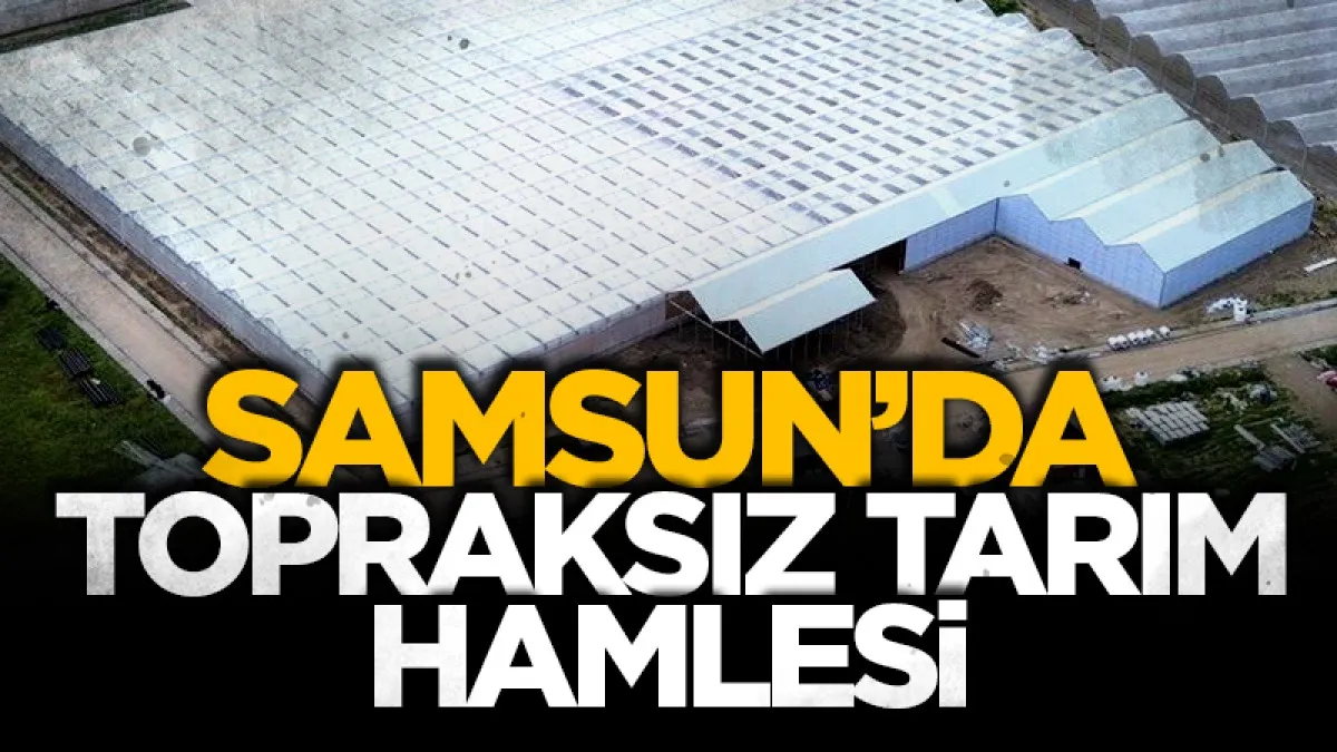 Samsun'da topraksız tarım hamlesi
