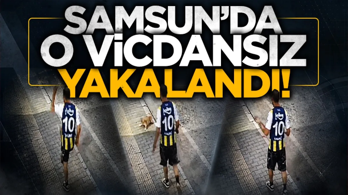 Samsun'da vicdanları sızlatan kediye şiddet olayında fail yakalandı