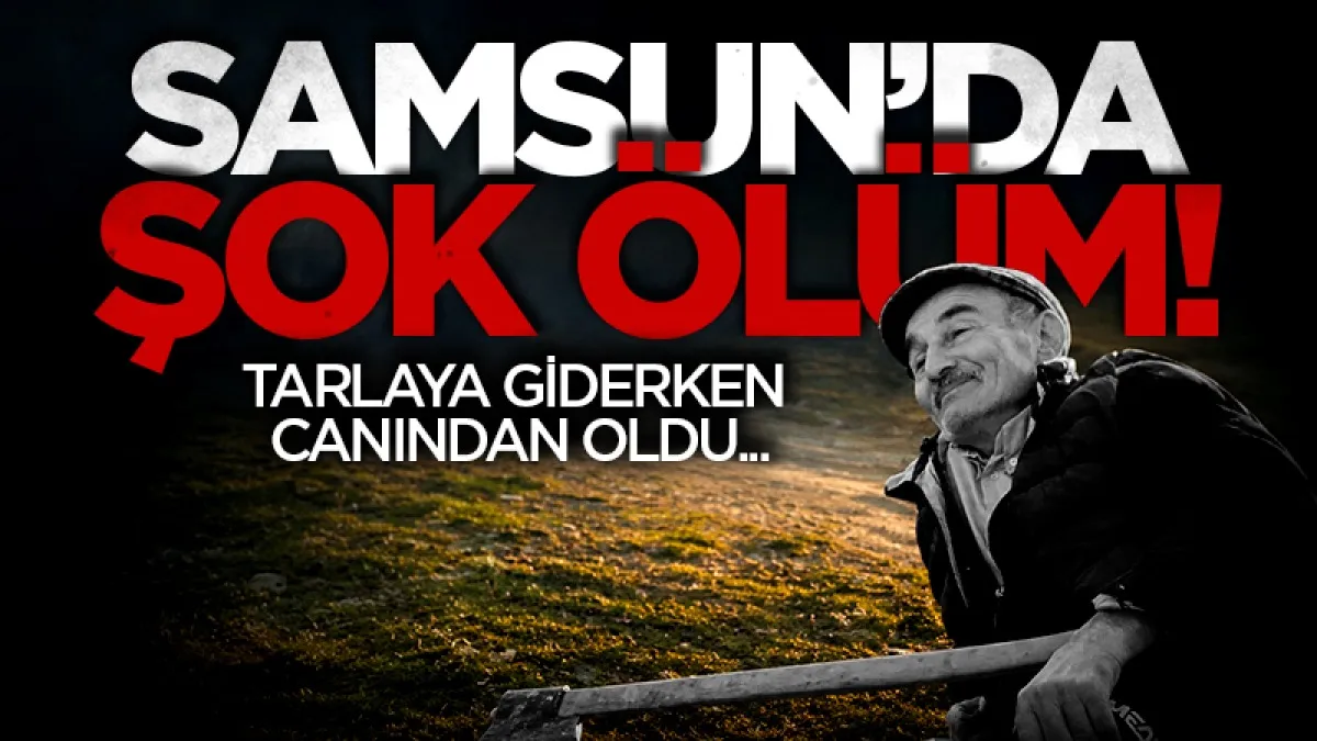Samsun'da yamaçtan yuvarlanan yaşlı adam hayatını kaybetti