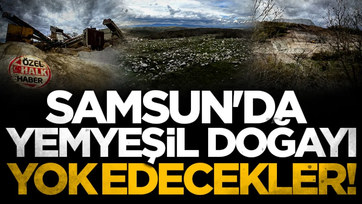 Samsun'da yemyeşil doğayı yok edecekler!