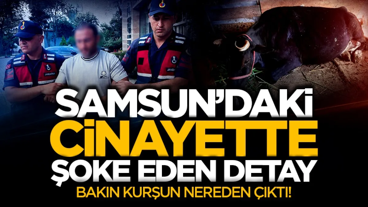 Samsun'daki cinayette şoke eden detay! Bakın kurşun nereden çıktı