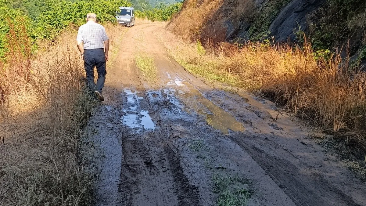 Samsun'daki köstebek yuvası yol yıllardır çözüm bekliyor