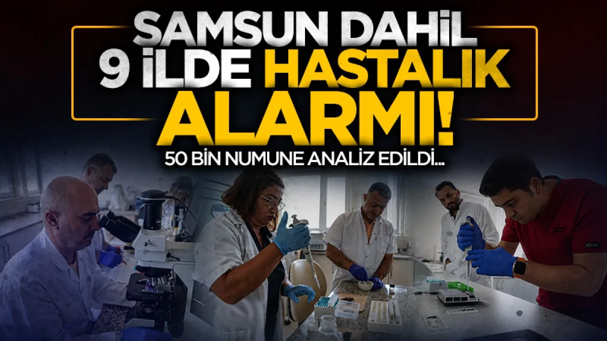 Samsun’dan 9 ile hayvan hastalıklarına karşı erken uyarı