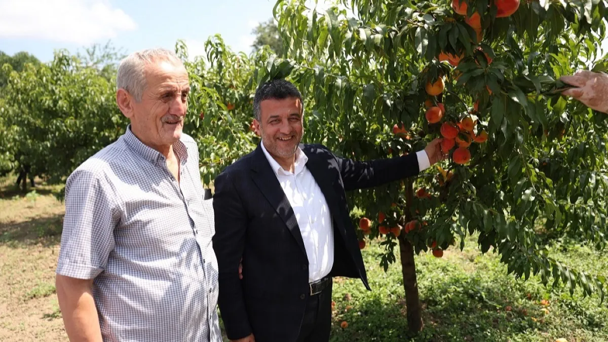 SBB Başkanı Halit Doğan şeftali hasadında