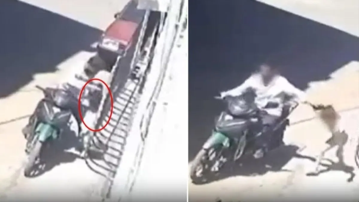 Sokak ortasında evladına vahşet yaşatmıştı: Gaziantep'teki cani baba yakalandı