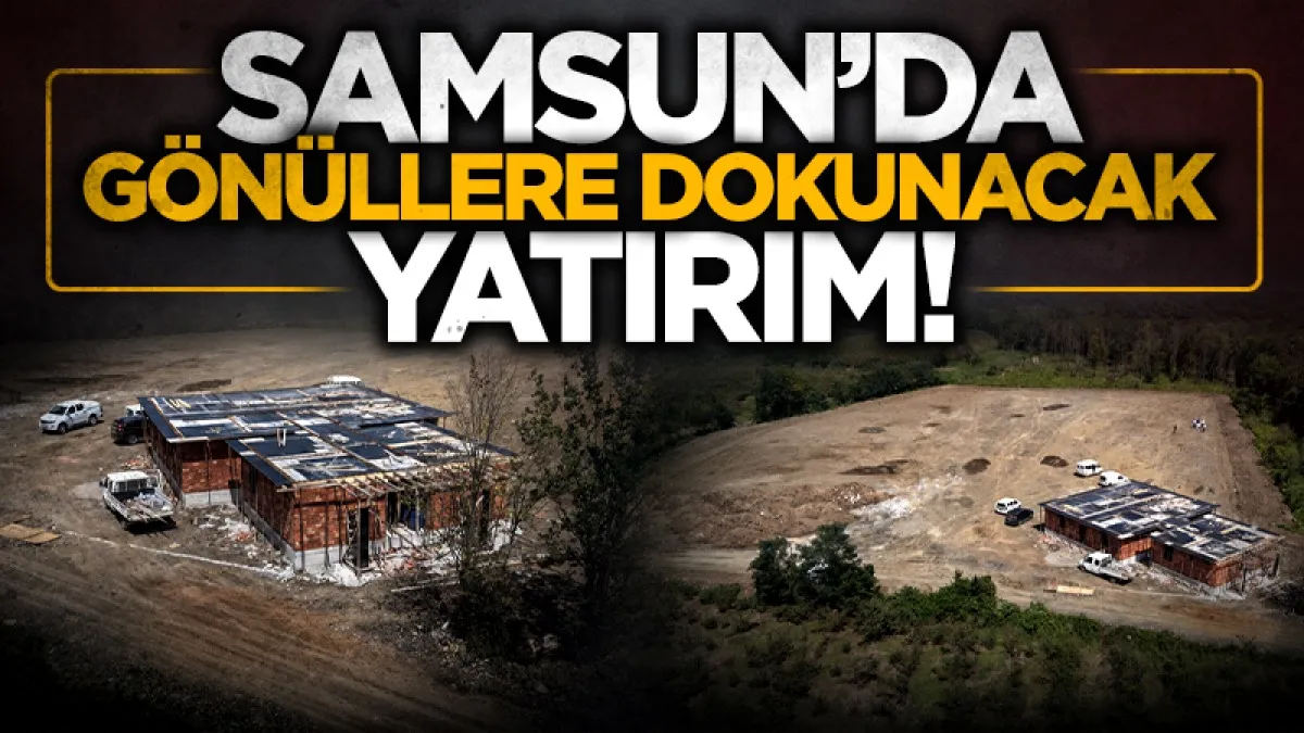 Terme’de 1000 hayvan kapasiteli doğal yaşam alanı kuruluyor