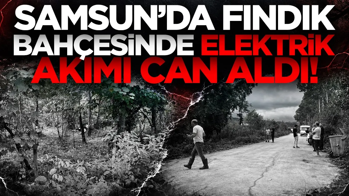Terme’de fındık bahçesinde elektrik akımı can aldı: 2 yaralı, bir hayvan telef oldu