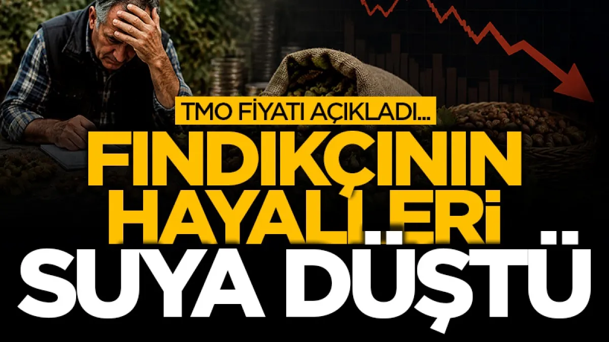 TMO’nun fındık fiyatı açıklandı, üretici hayal kırıklığı yaşadı