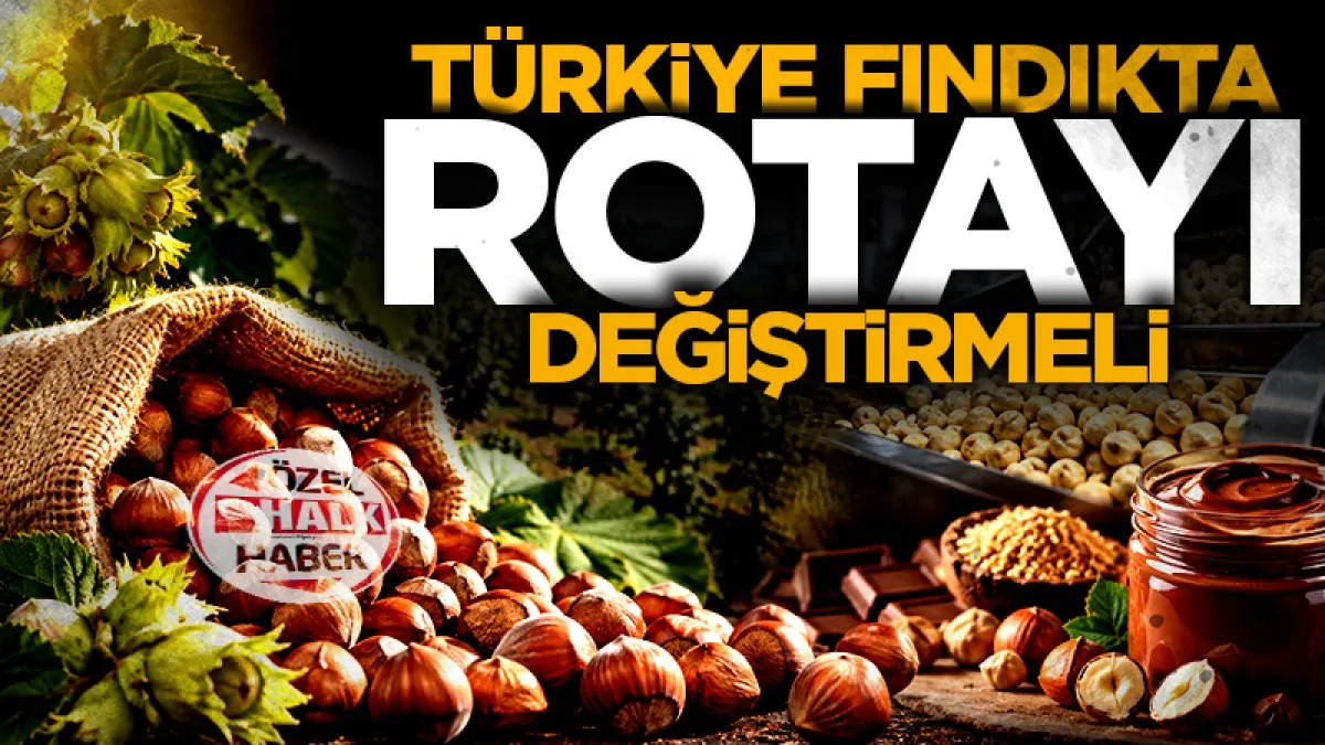 Türkiye fındıkta rotayı değiştirmeli