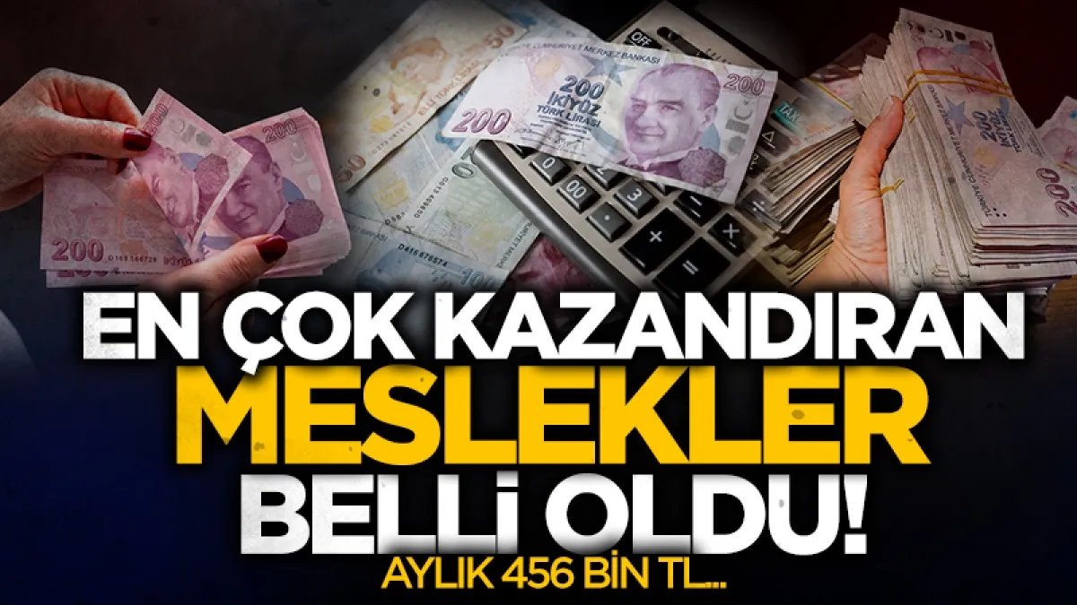Türkiye'de en çok kazandıran meslekler belli oldu: Zirvede noterlik var