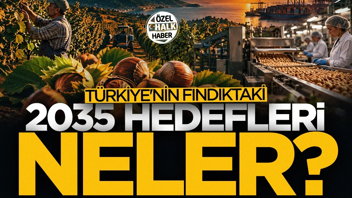 Türkiye'nin fındıktaki 2035 hedefleri neler?