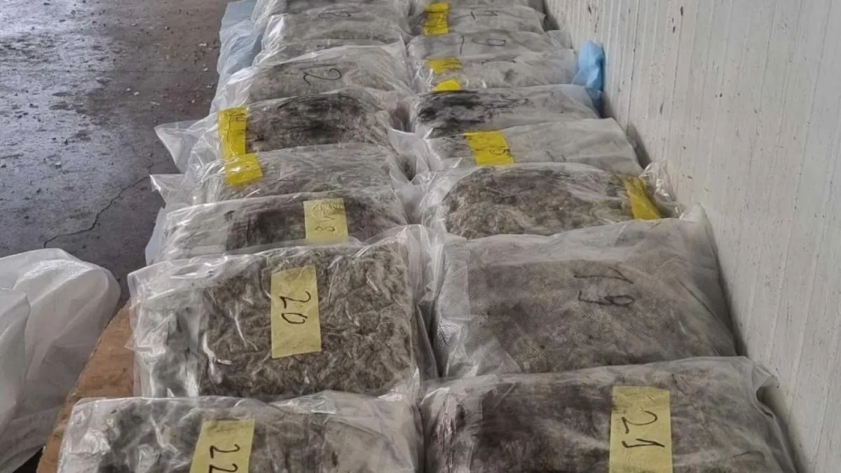 Türkiye'ye sokulmak istenen 47 kilo esrar sınırda ele geçirildi