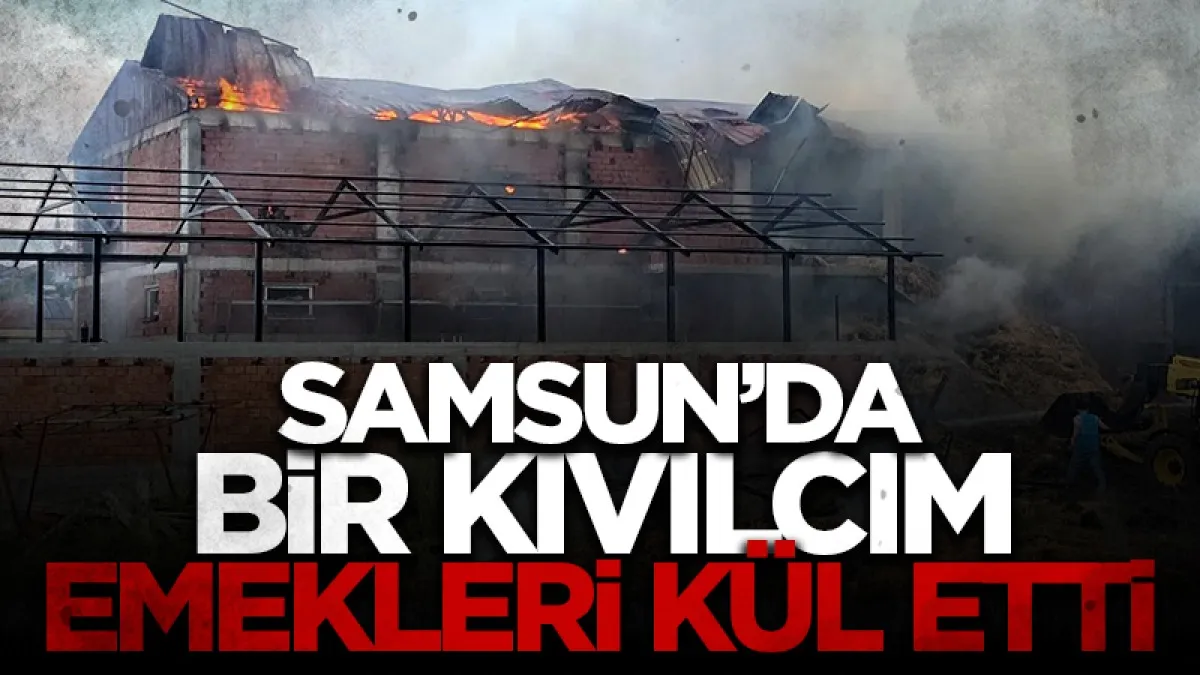 Vezirköprü'de büyük yangın! 7 bin balya saman zarar gördü