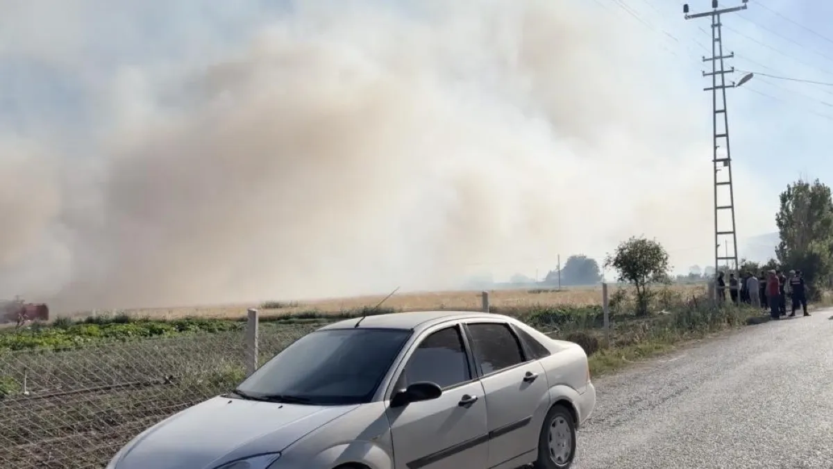 Yangın çıktı, komşu tarlalara sıçradı