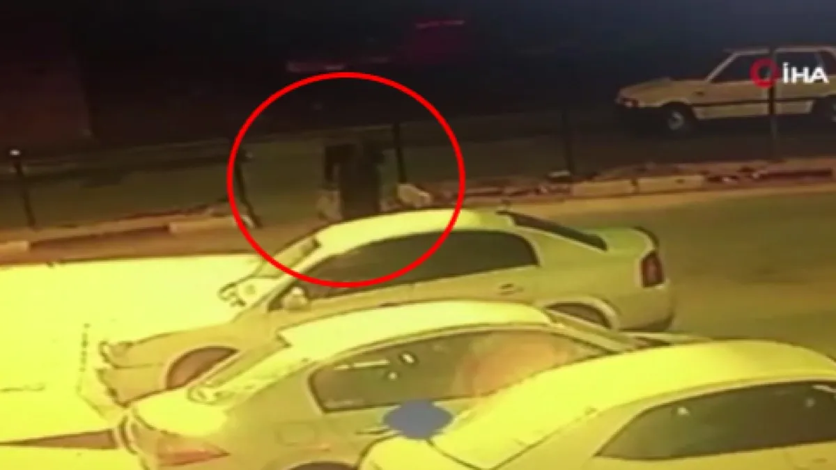 Yaya geçidinde otomobilin çarptığı kadın hayatını kaybetti