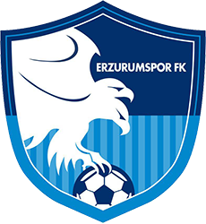 Erzurumspor FK 