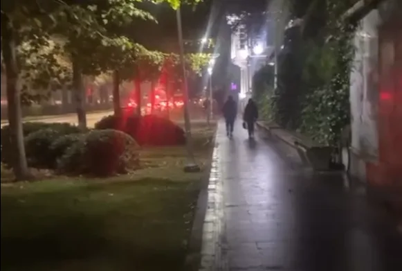 Samsun’da yürek burkan görüntü: Aylardır depoda arkasında yaşıyor