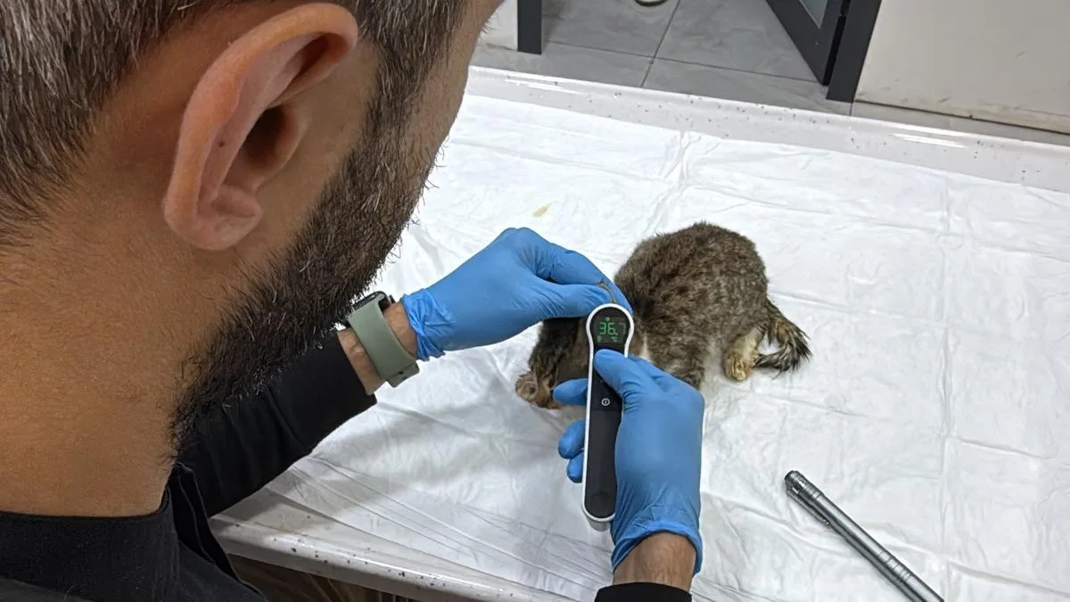 Tokat'ta 5 bin kişiyi etkileyen salgında yeni gelişme!