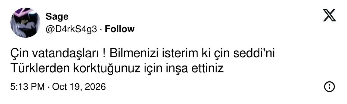 X'te Türk-Çin kavgası! Her şey Türk bayrağı paylaşımıyla başladı