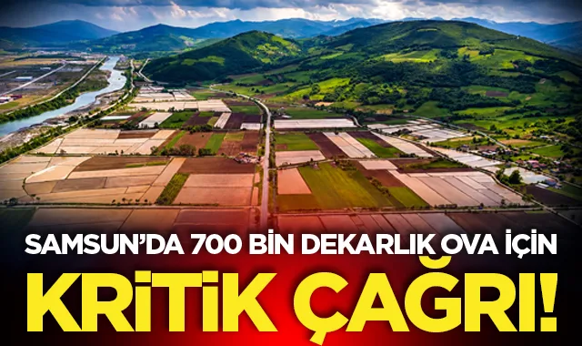 700 bin dekarlık Bafra Ovası için kritik çağrı!