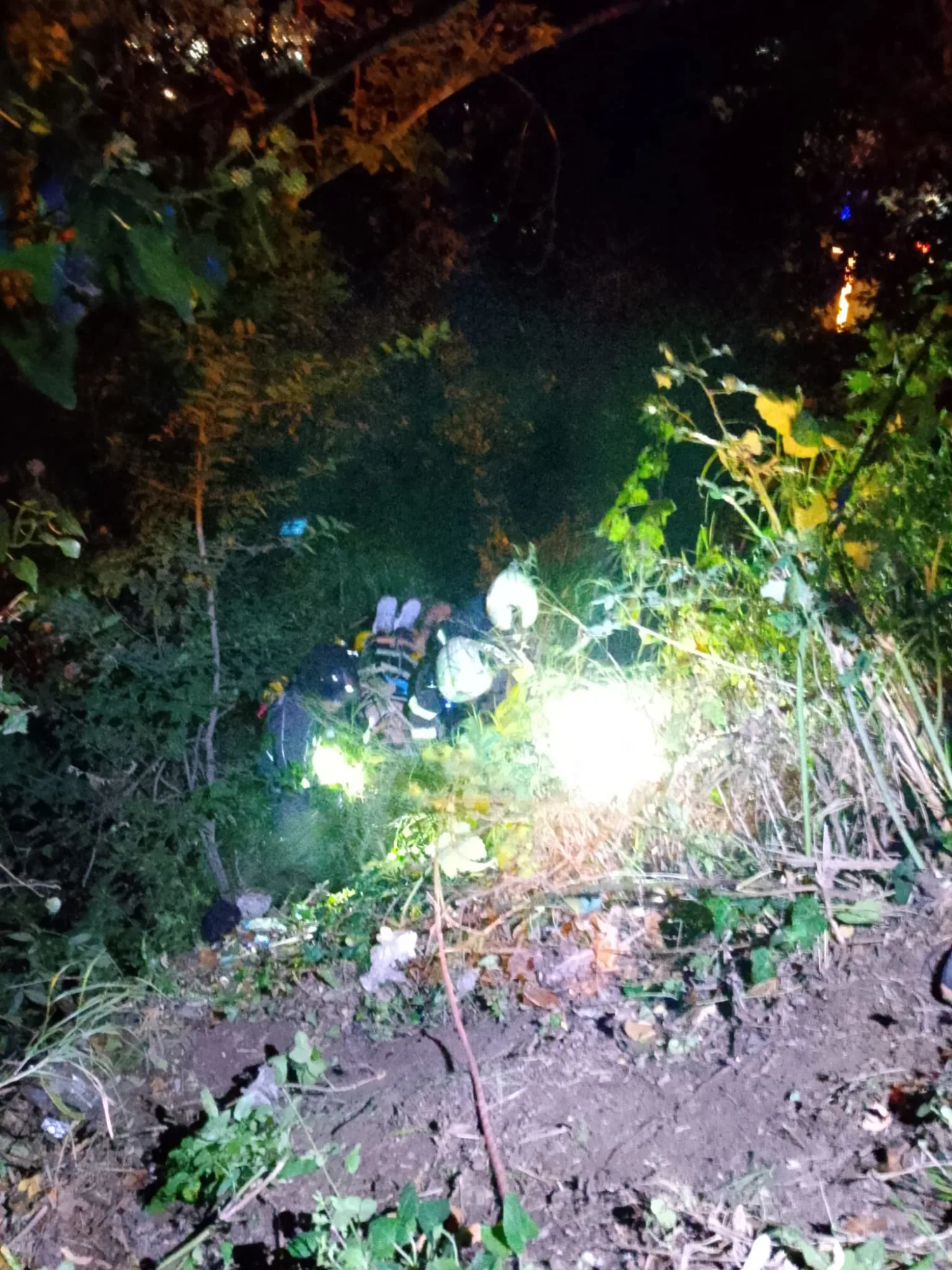 Samsun'da 20 metre yükseklikten ormanlık alana düştü