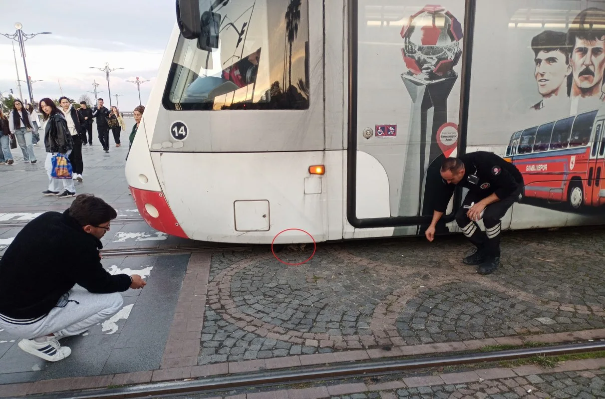 Samsun'da tramvayın altında kalan yavru kedi mucize gibi kurtuldu!