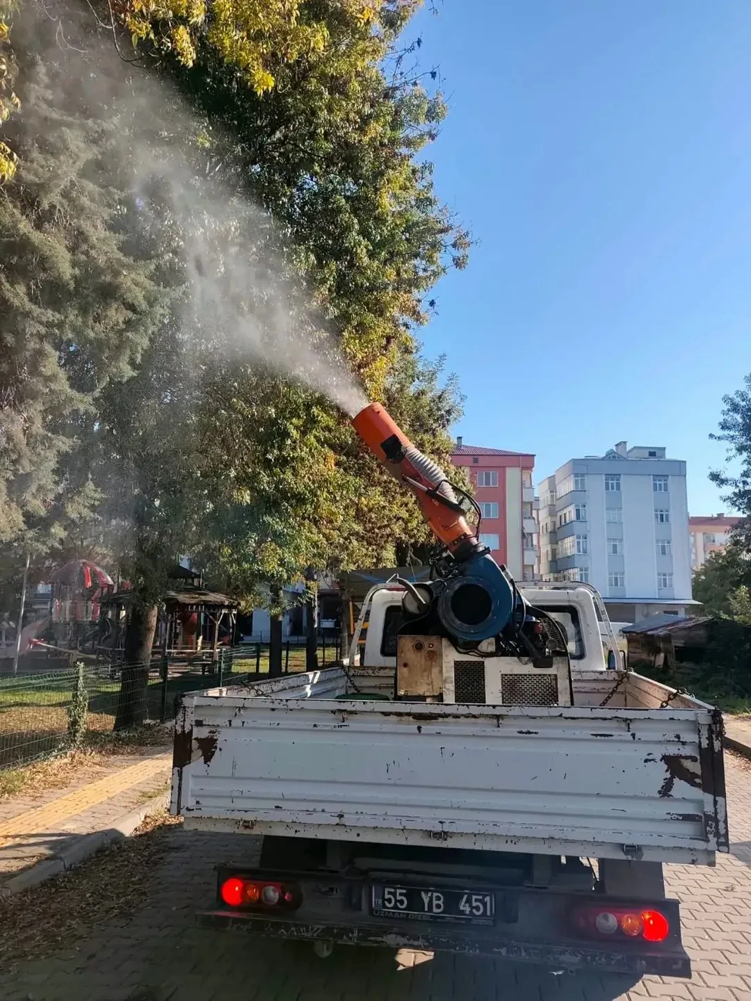19 Mayıs Belediyesinden kahverengi kokarcaya karşı mücadele sürüyor