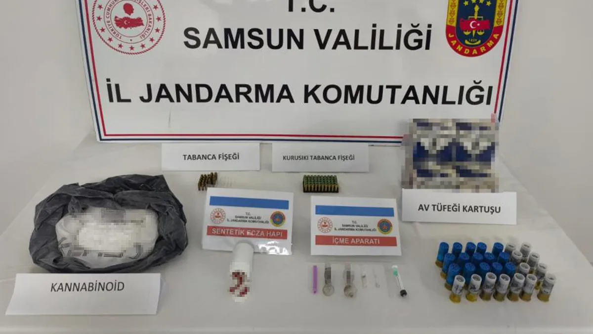 Samsun'da bonzai ham maddesi ele geçirildi