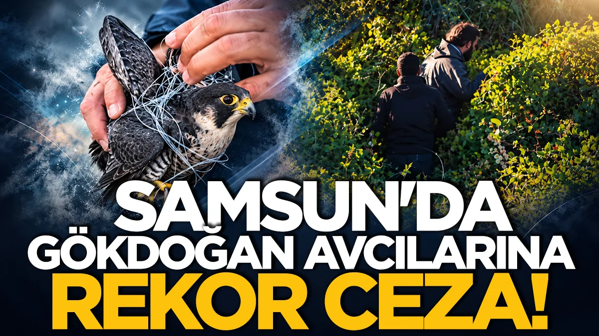 Samsun'da Gökdoğan avcılarına rekor ceza!