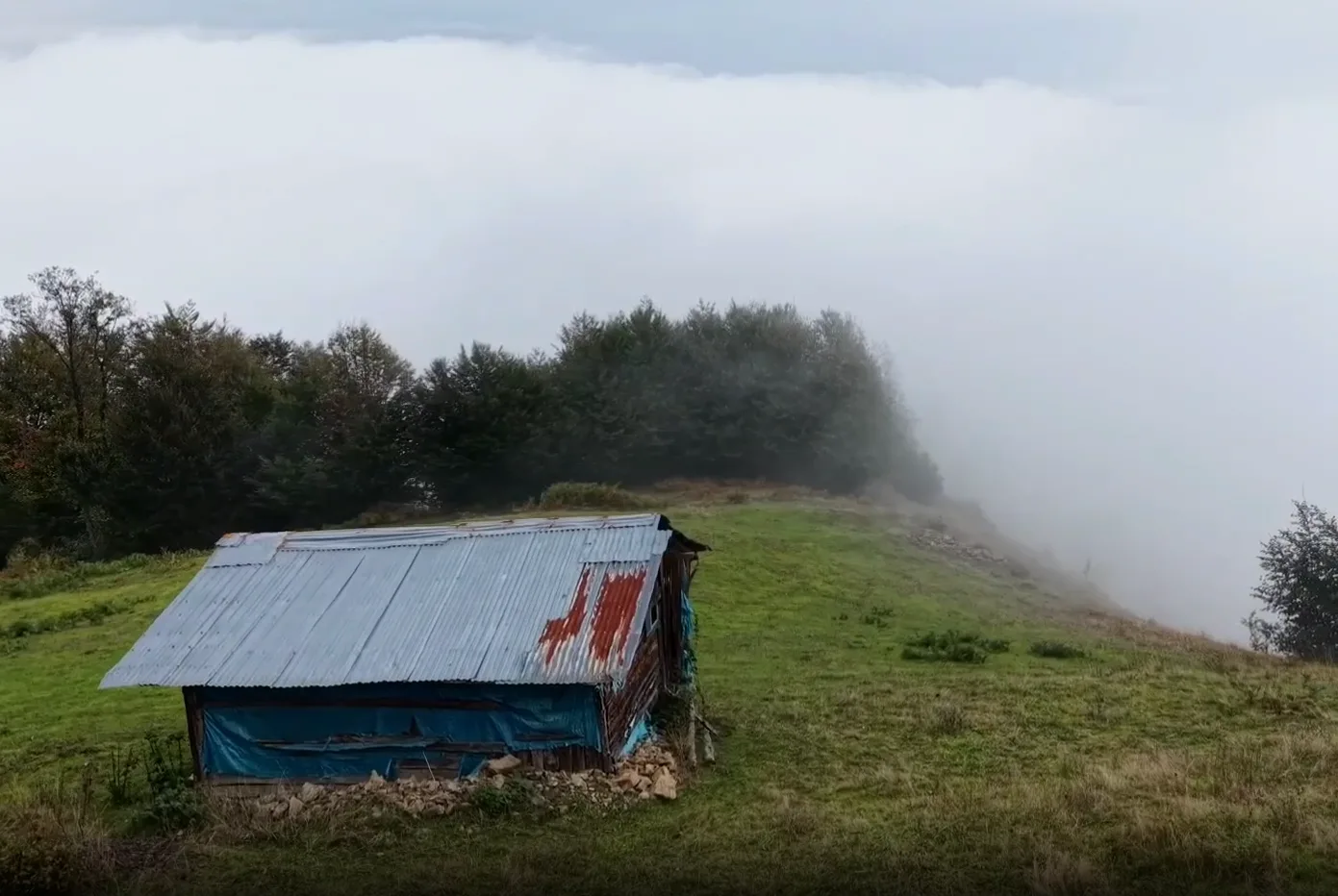 Samsun'da sis bulutları ormanların üzerini kapladı - 2