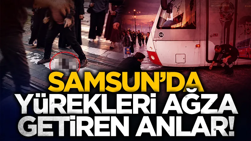 Samsun'da tramvayın altında kalan yavru kedi mucize gibi kurtuldu!