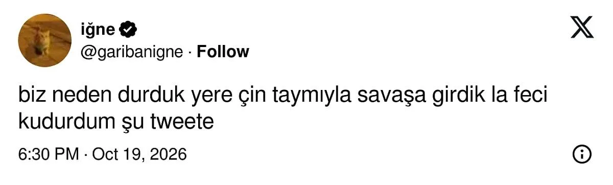 X'te Türk-Çin kavgası! Her şey Türk bayrağı paylaşımıyla başladı