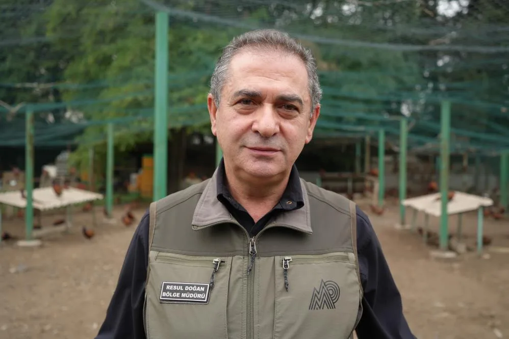Samsun'da fındığın düşmanına karşı sülünlü mücadele