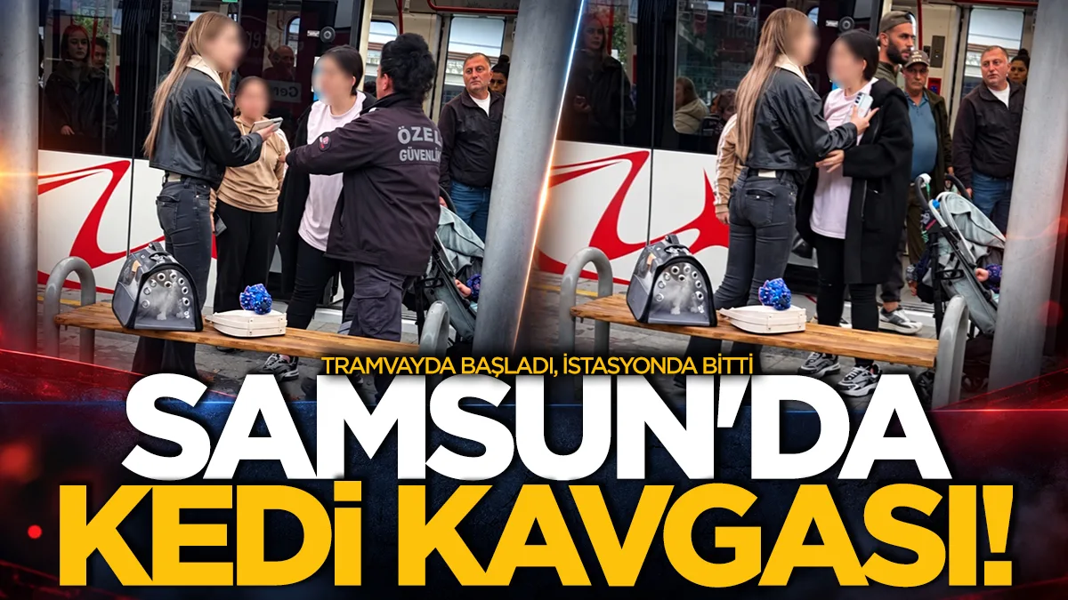 Samsun’da kediye vurma tartışması kavgaya döndü