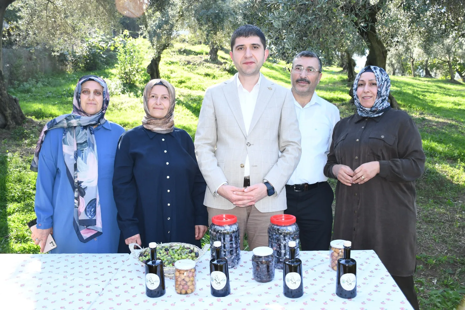 Samsun'da zeytin hasadı yapıldı