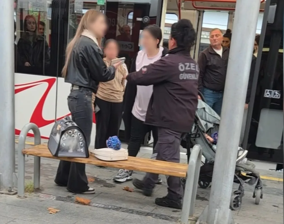 Samsun’da kediye vurma tartışması kavgaya döndü