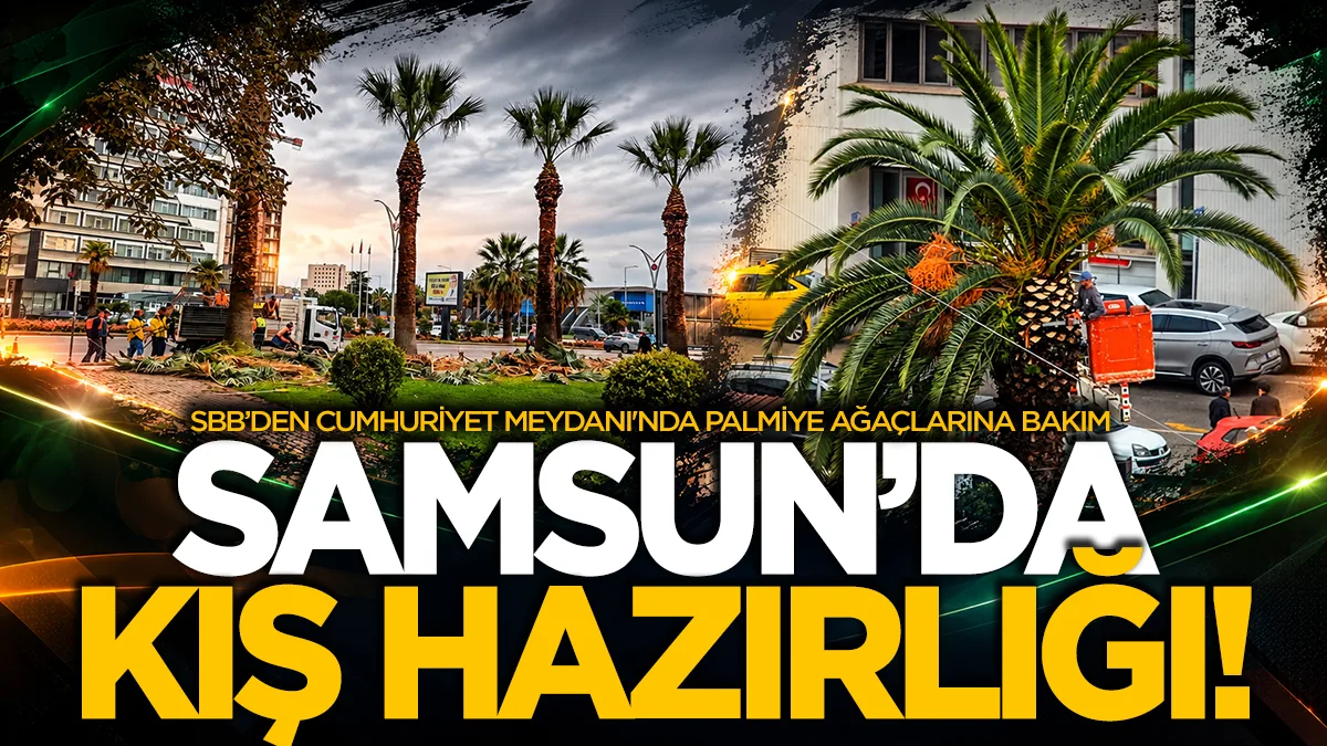 Samsun'da Büyükşehirden sonbahar-kış hazırlığı