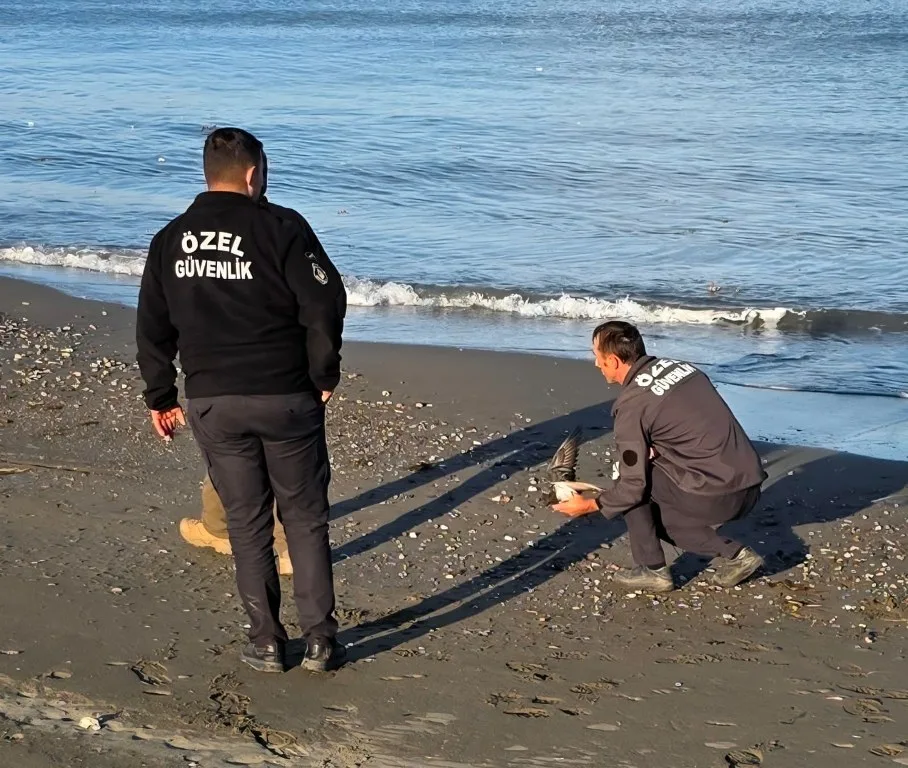 Samsun'da gökdoğan avlamak isteyen 2 kişi suçüstü yakalandı