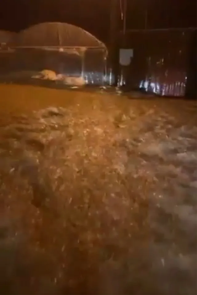 Antalya'yı yağış ve fırtına vurdu! Seralar ve yollar göle döndü