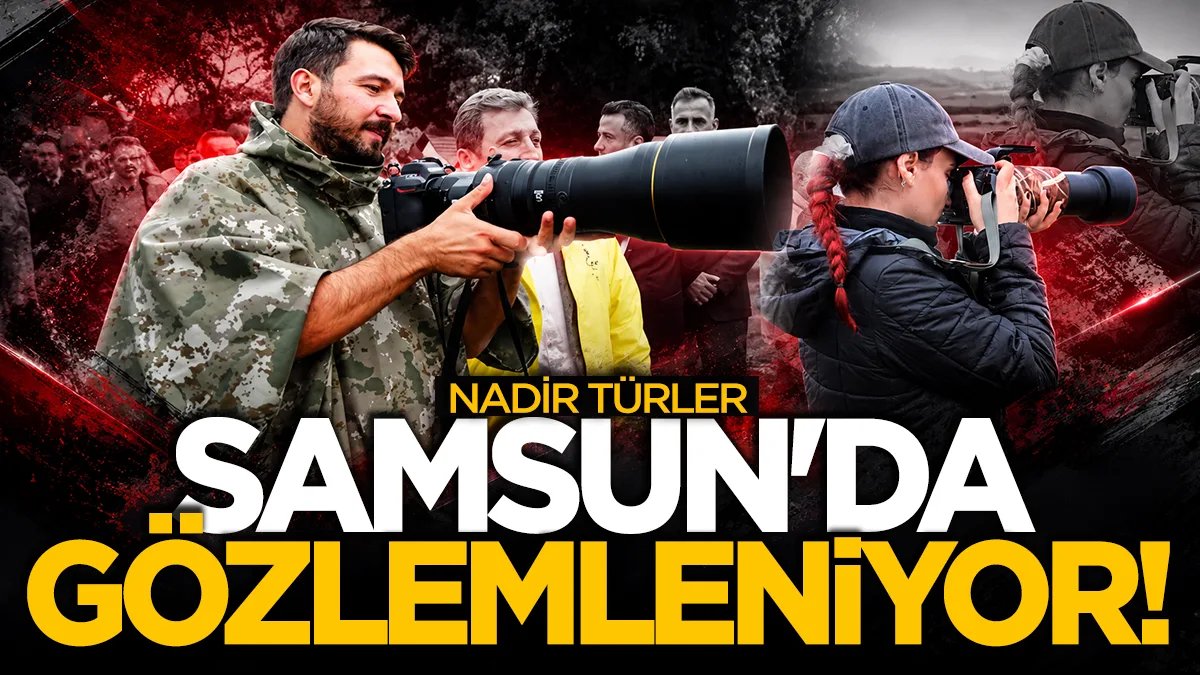 Kuş fotoğrafçıları, nadir türleri Samsun'da gözlemliyor