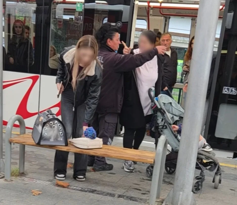 Samsun’da kediye vurma tartışması kavgaya döndü