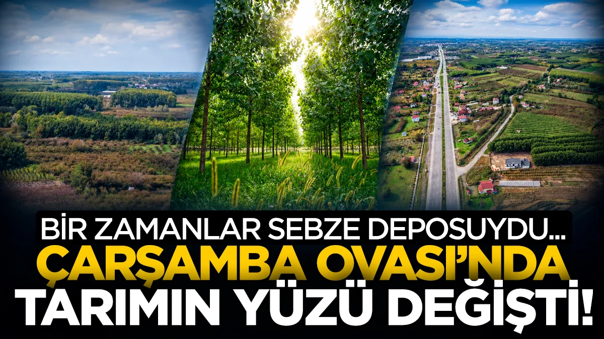 Çarşamba Ovası'nda tarımın yüzü değişti