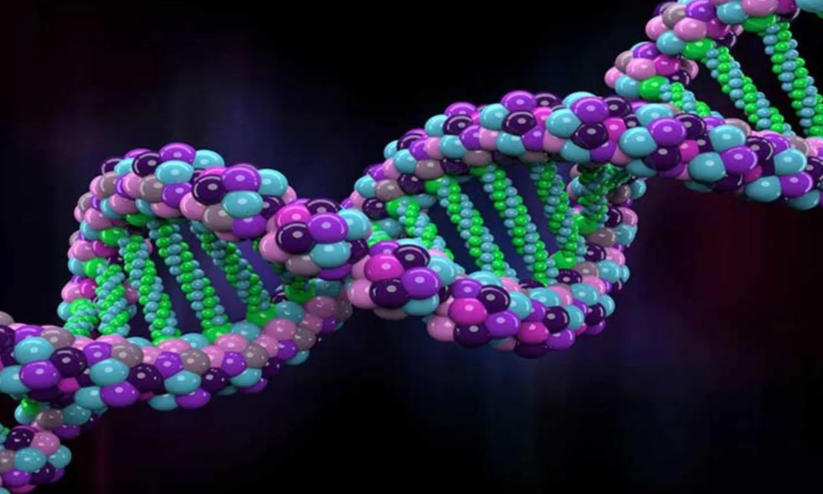 DNA’nızla sohbet etmek mümkün: Carbon-X nedir, nasıl çalışıyor?