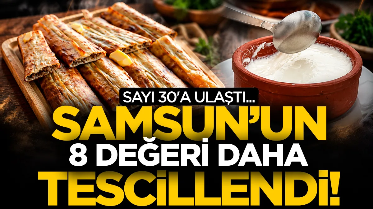 Samsun'un 8 değeri daha tescillendi: Sayı 30'a ulaştı