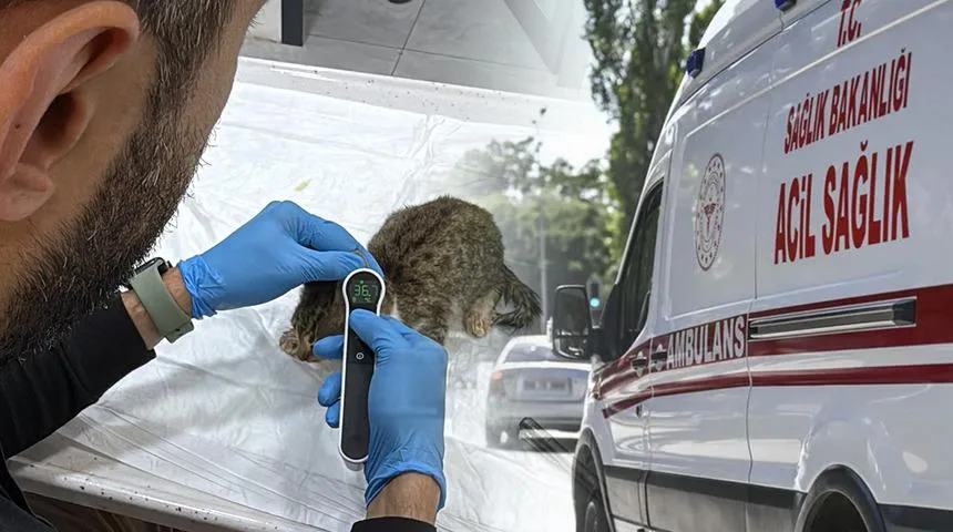 Tokat'ta 5 bin kişiyi etkileyen salgında yeni gelişme!
