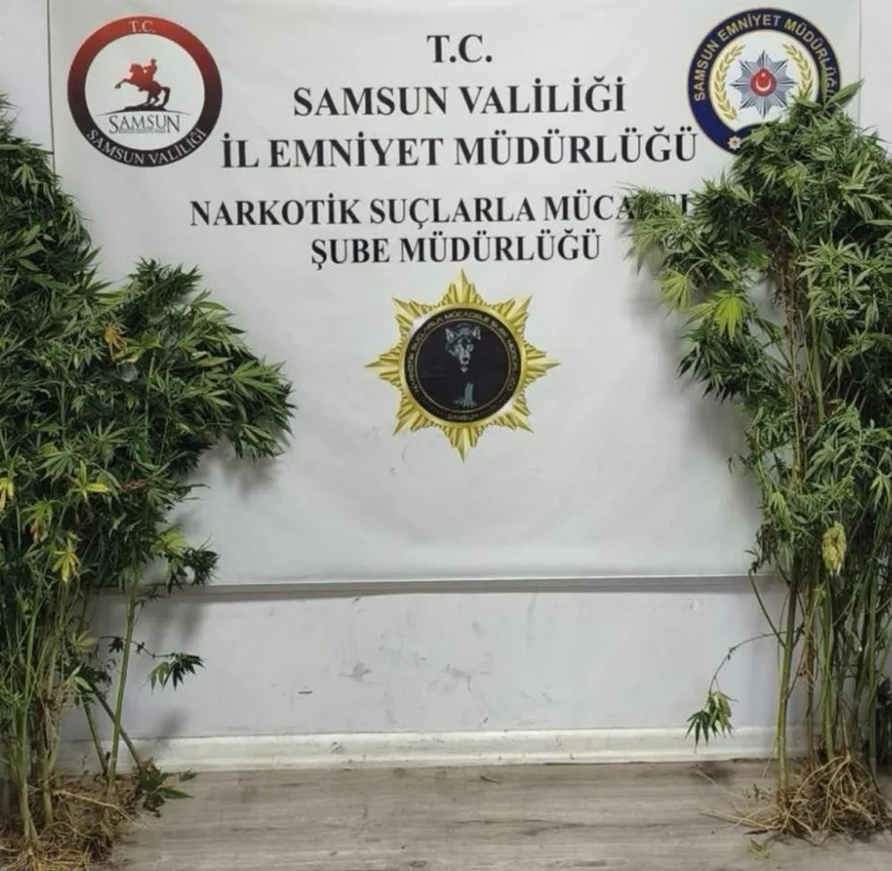 Samsun'un iki ilçesinde uyuşturucu operasyonu