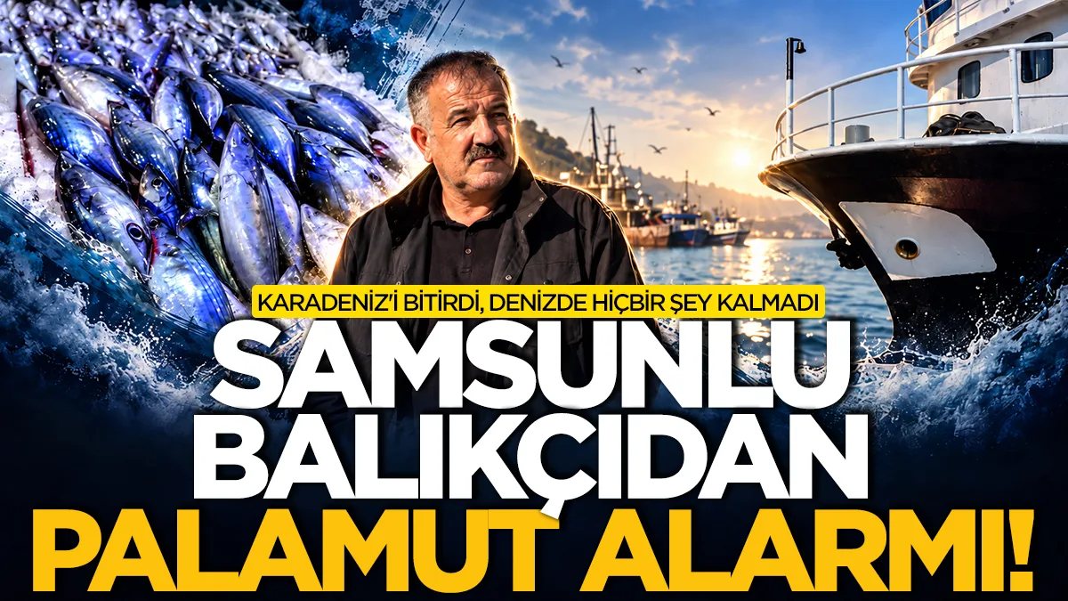 Samsunlu balıkçıdan palamut alarmı! "Karadeniz'i bitirdi, denizde hiçbir şey kalmadı"