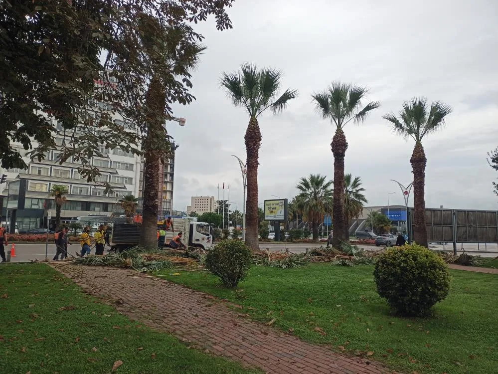 Samsun'da Büyükşehirden sonbahar-kış hazırlığı
