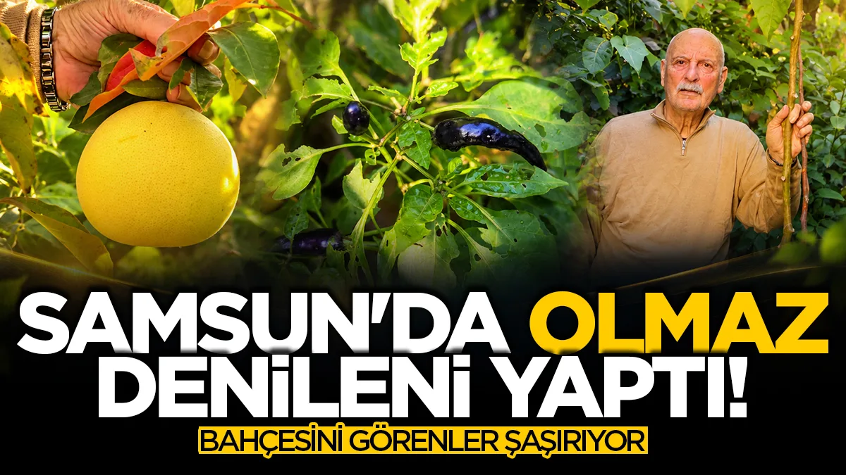 Samsun'da 82 yaşındaki öğretmen imkânsız denileni başardı: 200 çeşit ürün yetiştirdi