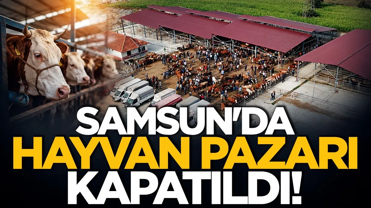 Samsun'da canlı hayvan pazarı süresiz kapatıldı